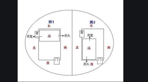 南半球睡觉头朝哪个方向最好